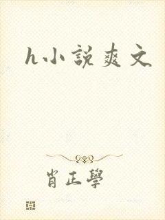 h小说爽文