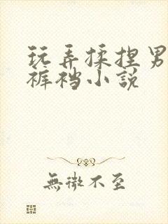 玩弄揉捏男总裁裤裆小说封面