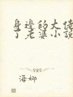 身边的大佬都成了老婆小说