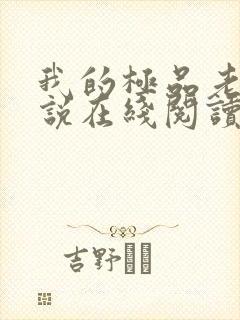 我的极品老婆小说在线阅读