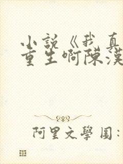 小说《我真没想重生啊陈汉升》封面