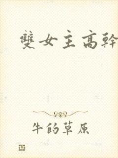 双女主高干文