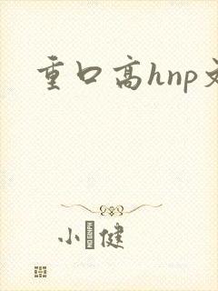 重口高hnp文