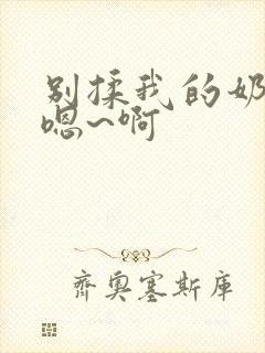 别揉我的奶头 嗯~啊封面