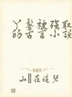 丫鬟被强取豪夺的古言小说封面