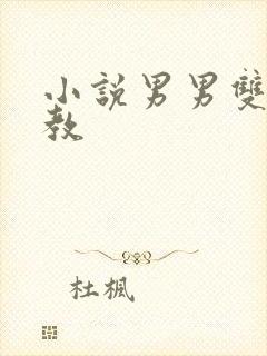 小说男男双性调教