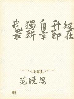 我独自升级小说最新章节在线阅读