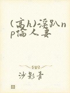 (高h)淫趴np伦人妻