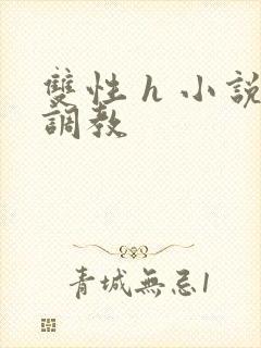 双性 h 小说调教