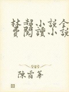 林超小说全文免费阅读小说