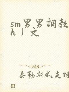 sm男男调教〈h丿文