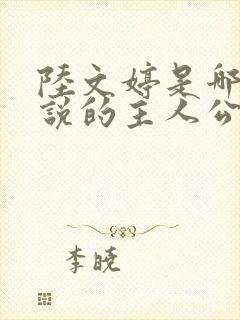 陆文婷是哪部小说的主人公封面