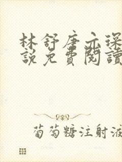 林舒唐亦琛的小说免费阅读无弹窗