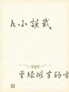 h小说武