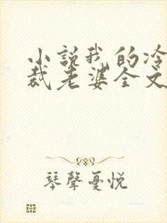 小说我的冷艳总裁老婆全文阅读封面