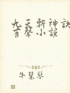 九天斩神诀林辰有声小说
