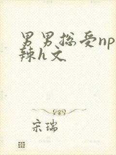 男男总受np高辣h文