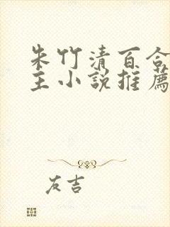 朱竹清百合双女主小说推荐封面