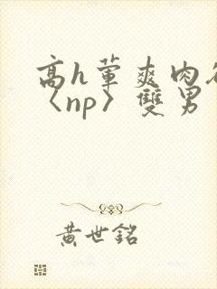 高h荤爽肉欲文〈np〉双男