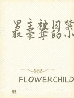 男主被囚禁被强取豪夺的小说