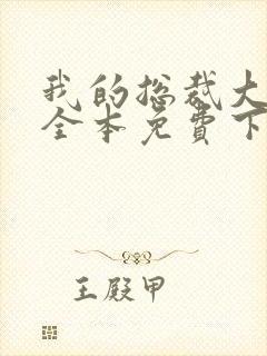 我的总裁大老婆全本免费下载封面