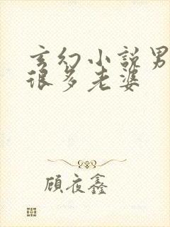 玄幻小说男主有很多老婆