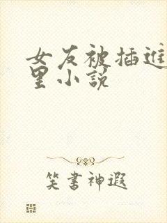 女友被插进小逼里小说