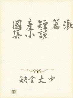 国产短篇激情合集小说