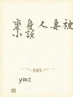 变身人妻被调教小说