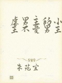 虐男主的小说女主不爱男主封面