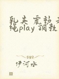 乳夹 震动 走绳play 调教小说封面