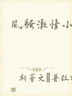 风骚激情小说
