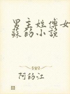 男主姓傅女主姓苏的小说