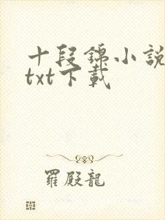 十段锦小说全本txt下载