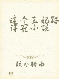 这个王妃路子野得宠小说