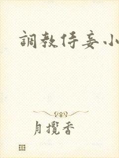 调教侍妾小说封面