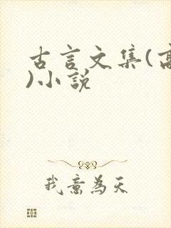 古言文集(高h)小说