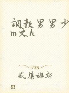 调教男男少年sm文h