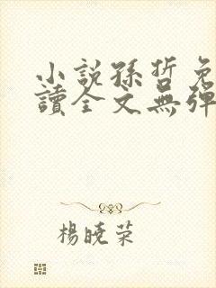 小说孙哲免费阅读全文无弹窗封面