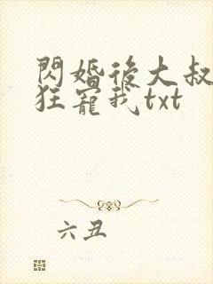 闪婚后大叔每天狂宠我txt