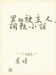 男m被主人虐玩调教小说