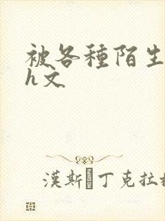 被各种陌生人强h文