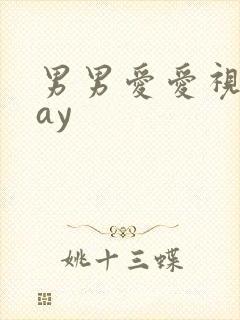 男男爱爱视频gay