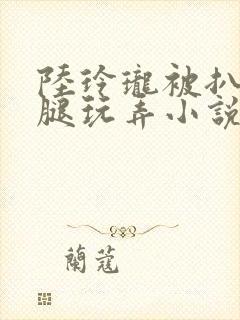 陆玲珑被扒开双腿玩弄小说免费阅读