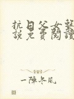 抗日父女系列小说免费阅读最新章节