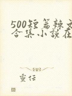 500短篇辣文合集小说在线阅读