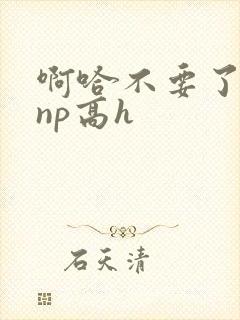 啊哈不要了男男np高h