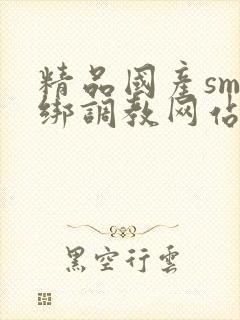 精品国产sm捆绑调教网站