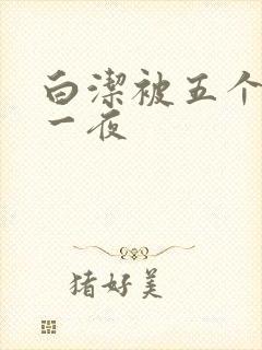 白洁被五个人玩一夜