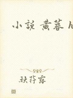 小说 黄蓉 h封面